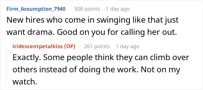 Toxic Newbie Spreads Lies, Tries To Get Colleague Fired, Ends Up In Hot Water With HR
