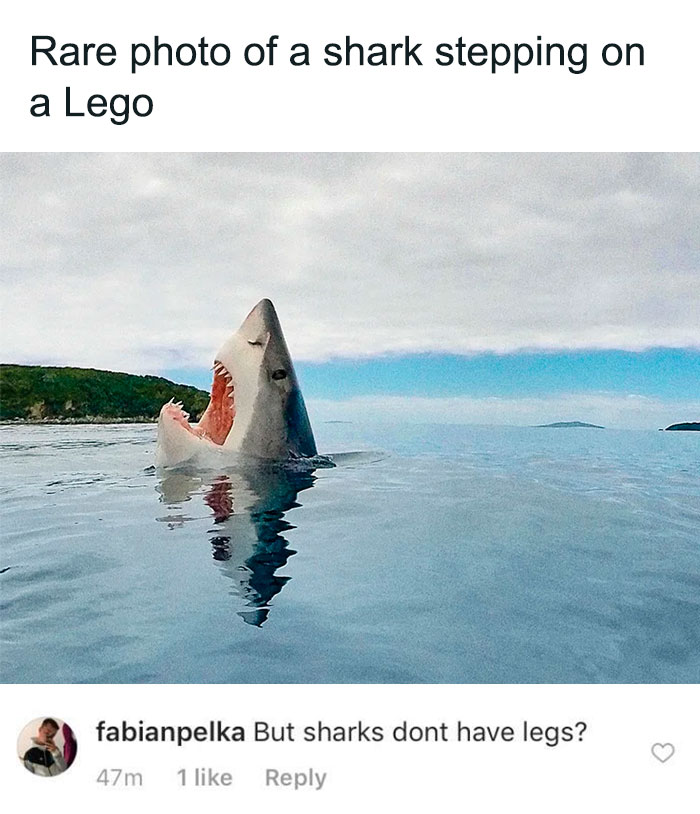 50 People Who Missed The Joke So Badly, The Internet Will Never Let Them Live It Down