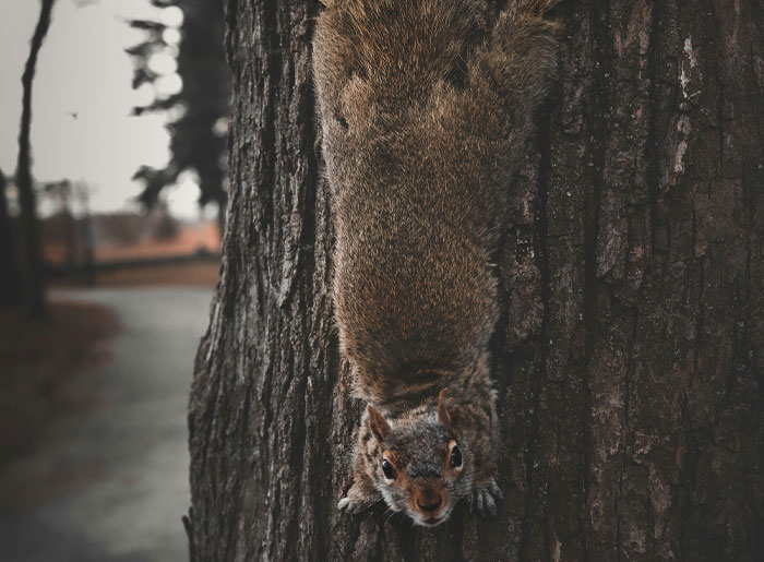 39 Unnerving Encounters That People Say Will Stay With Them Forever