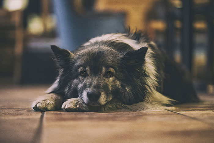 39 Unnerving Encounters That People Say Will Stay With Them Forever