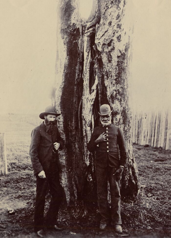 Rare Glimpses Into 1900s Indigenous Australians Through 43 Striking Photos