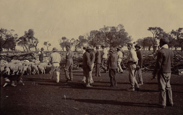 Rare Glimpses Into 1900s Indigenous Australians Through 43 Striking Photos