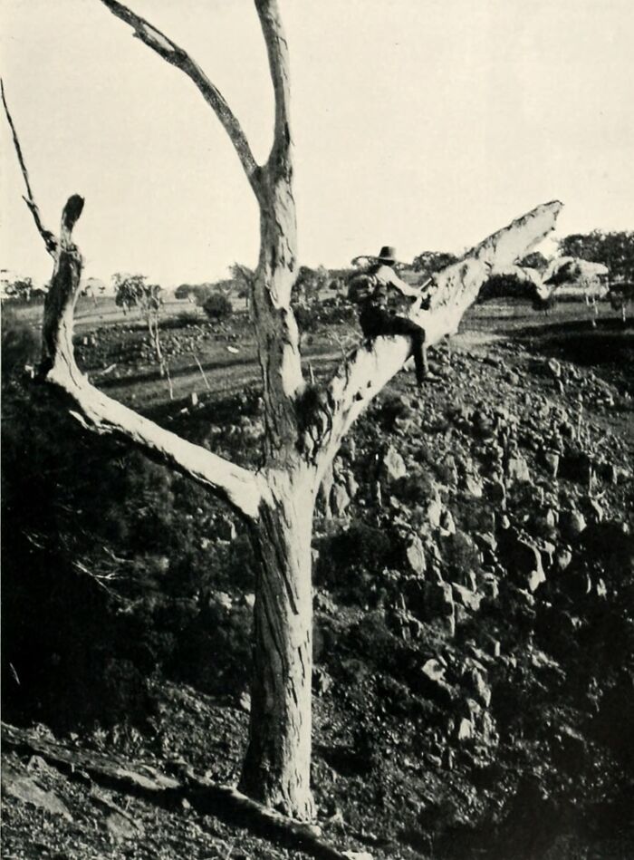 Rare Glimpses Into 1900s Indigenous Australians Through 43 Striking Photos