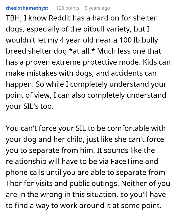 Dog Attacks Stalker Who Broke Into Woman’s Home, Gets Labeled “Too Dangerous” To Be Around Kids