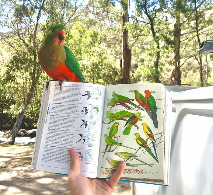70 Photos Of Rare Coincidences You’d Think Were Photoshopped, But Aren’t