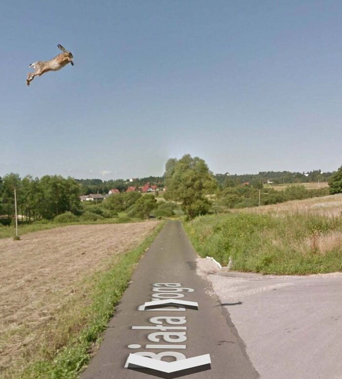 70 Photos Of Rare Coincidences You’d Think Were Photoshopped, But Aren’t