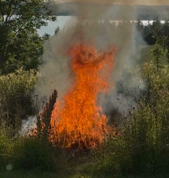70 Photos Of Rare Coincidences You’d Think Were Photoshopped, But Aren’t