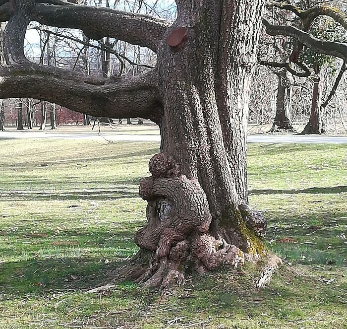 70 Photos Of Rare Coincidences You’d Think Were Photoshopped, But Aren’t