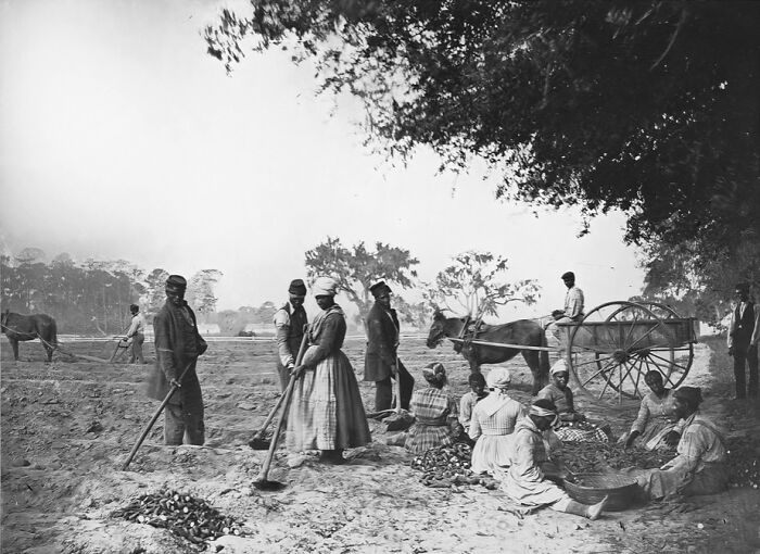 30 Gripping Pictures That Tell The Real Story Of 1800s America