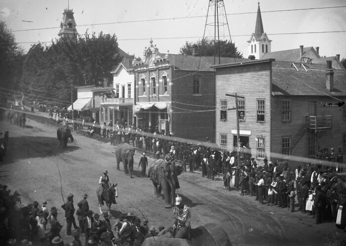 30 Gripping Pictures That Tell The Real Story Of 1800s America