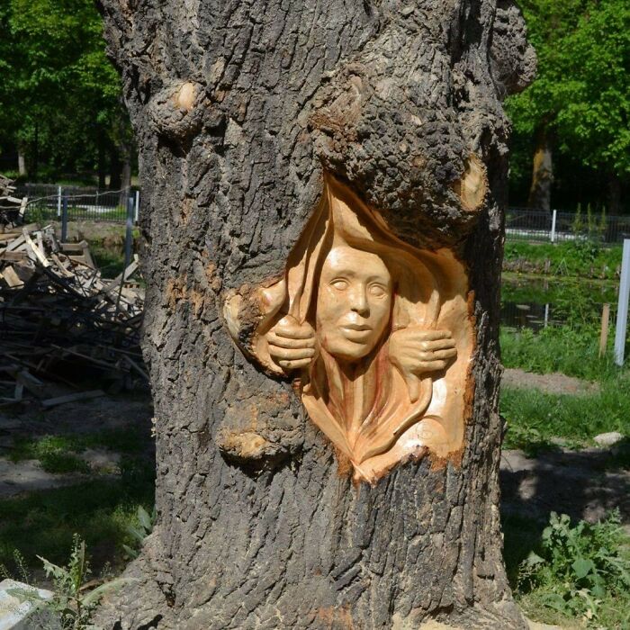 Artist Turns Tree Stumps Into Magical Sculptures, And Here Are 20 Of His Best Creations