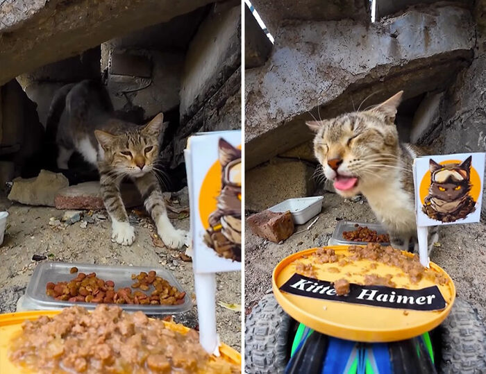 100 Wholesome Pics Of A Guy Feeding Stray Animals In A Unique Way