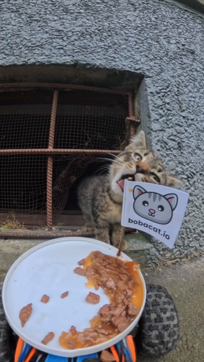 100 Wholesome Pics Of A Guy Feeding Stray Animals In A Unique Way
