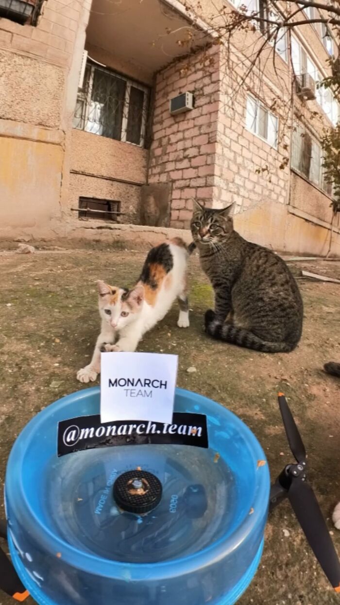 100 Wholesome Pics Of A Guy Feeding Stray Animals In A Unique Way
