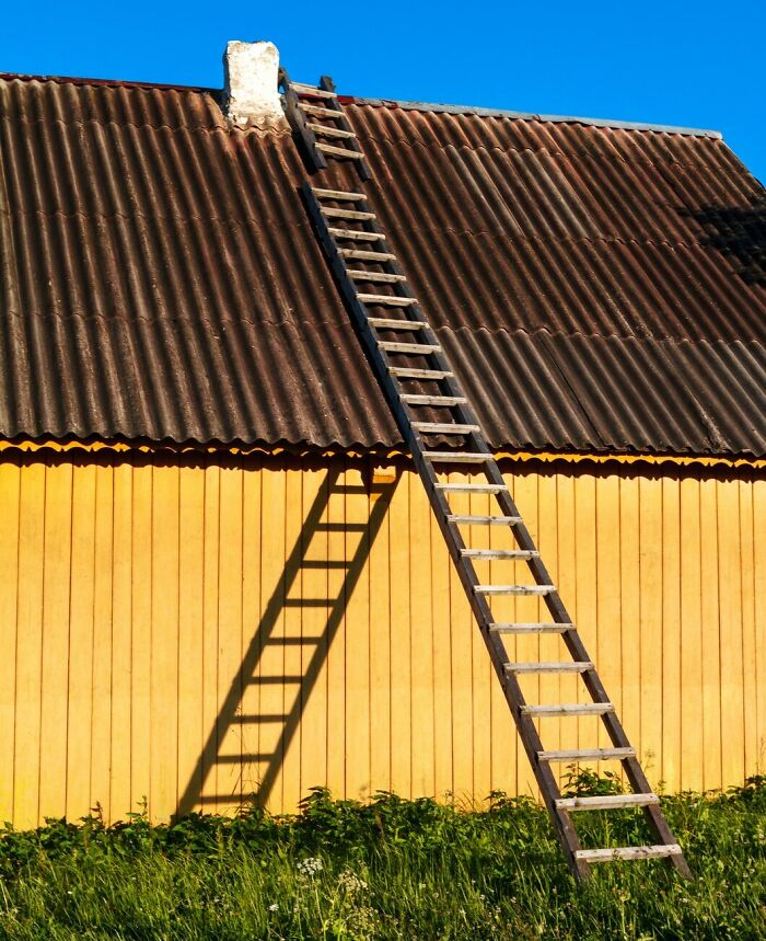 32 Excuses People Used To Call Off Work That Sound Made Up—But Are Actually True