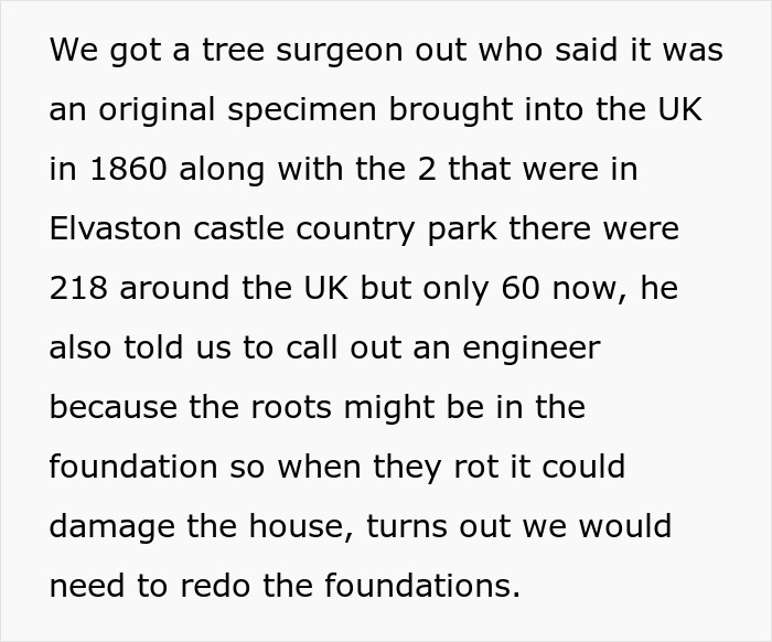 “Entitled Karen Chops Down My Tree, Costs Her £500,000”