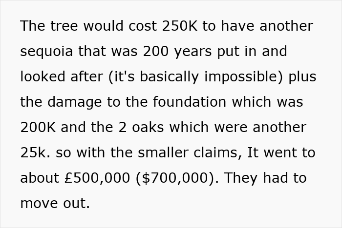 “Entitled Karen Chops Down My Tree, Costs Her £500,000”