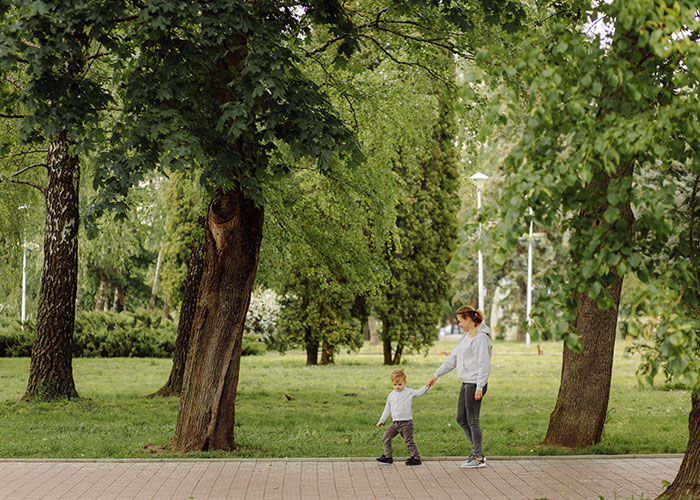 “Entitled Karen Chops Down My Tree, Costs Her £500,000”