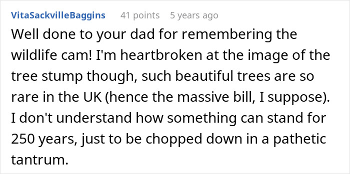 “Entitled Karen Chops Down My Tree, Costs Her £500,000”