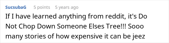 “Entitled Karen Chops Down My Tree, Costs Her £500,000”