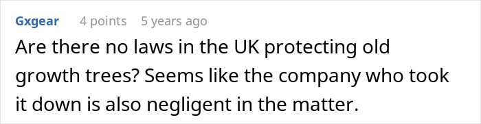 “Entitled Karen Chops Down My Tree, Costs Her £500,000”