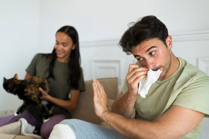 Fiancée Left Shocked After Guy Demands Her 4 Senior Cats Be Rehomed Before Wedding