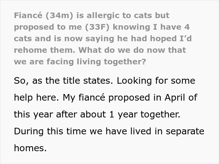 Fiancée Left Shocked After Guy Demands Her 4 Senior Cats Be Rehomed Before Wedding