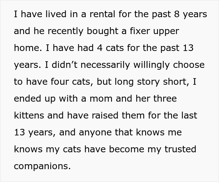 Fiancée Left Shocked After Guy Demands Her 4 Senior Cats Be Rehomed Before Wedding