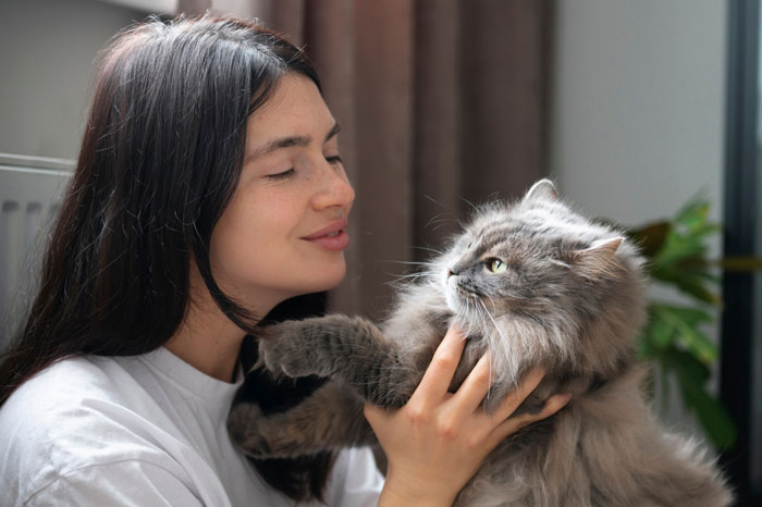 Fiancée Left Shocked After Guy Demands Her 4 Senior Cats Be Rehomed Before Wedding