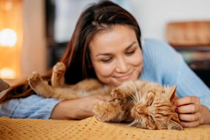 Fiancée Left Shocked After Guy Demands Her 4 Senior Cats Be Rehomed Before Wedding