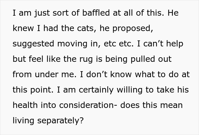 Fiancée Left Shocked After Guy Demands Her 4 Senior Cats Be Rehomed Before Wedding