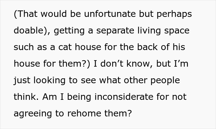 Fiancée Left Shocked After Guy Demands Her 4 Senior Cats Be Rehomed Before Wedding