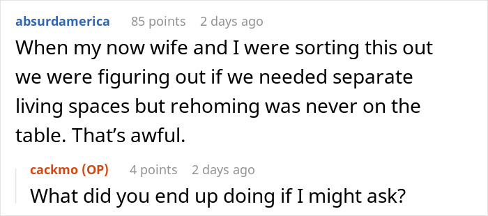 Fiancée Left Shocked After Guy Demands Her 4 Senior Cats Be Rehomed Before Wedding