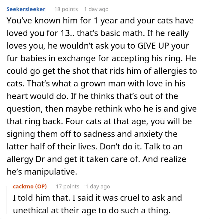 Fiancée Left Shocked After Guy Demands Her 4 Senior Cats Be Rehomed Before Wedding