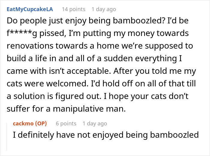 Fiancée Left Shocked After Guy Demands Her 4 Senior Cats Be Rehomed Before Wedding