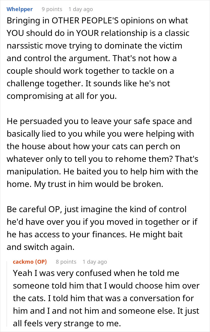 Fiancée Left Shocked After Guy Demands Her 4 Senior Cats Be Rehomed Before Wedding