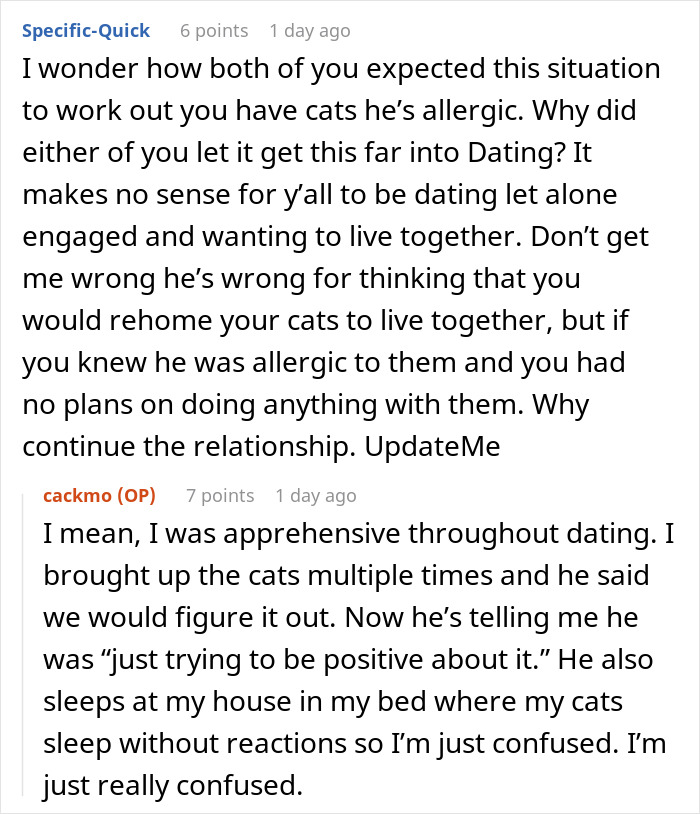 Fiancée Left Shocked After Guy Demands Her 4 Senior Cats Be Rehomed Before Wedding