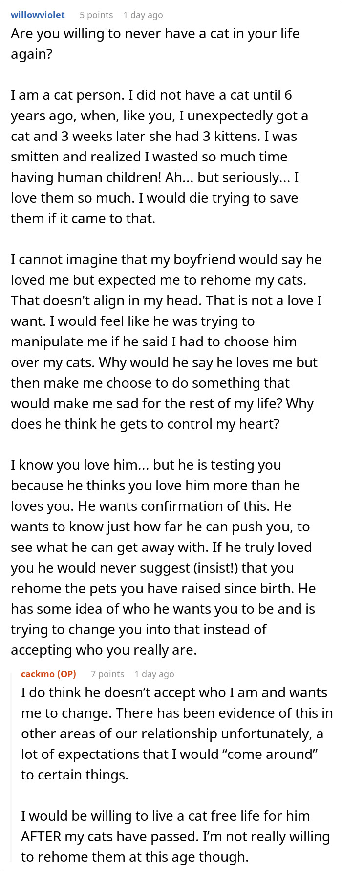 Fiancée Left Shocked After Guy Demands Her 4 Senior Cats Be Rehomed Before Wedding