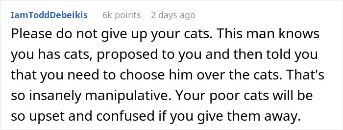 Fiancée Left Shocked After Guy Demands Her 4 Senior Cats Be Rehomed Before Wedding