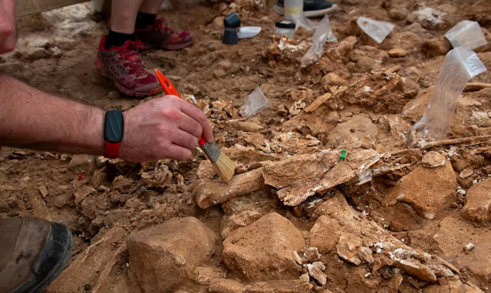 Archaeologists Discover Gruesome Evidence That Prehistoric Ancestors Ate Toddlers Like Prey