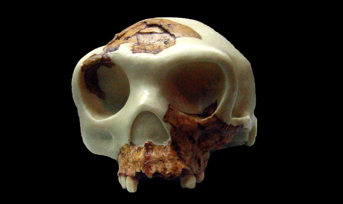 Archaeologists Discover Gruesome Evidence That Prehistoric Ancestors Ate Toddlers Like Prey
