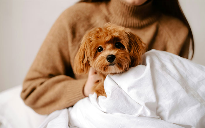 70 Stupid And Bizarre Reasons Why Someone Wanted A Divorce