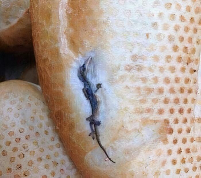 93 Food Nobody Should Eat If They Value Their Physical And Mental Health (New Pics)