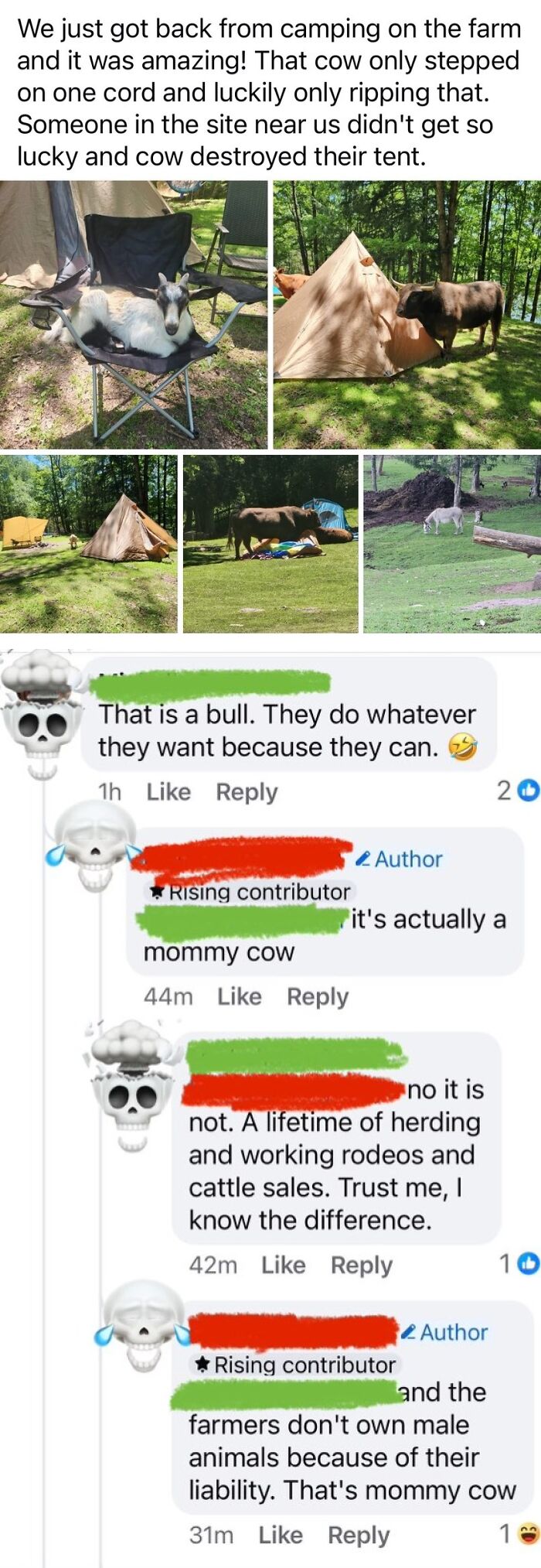 This Online Group Exists To Shame Overconfident Know-It-Alls Who Incorrectly Correct People (New Pics)