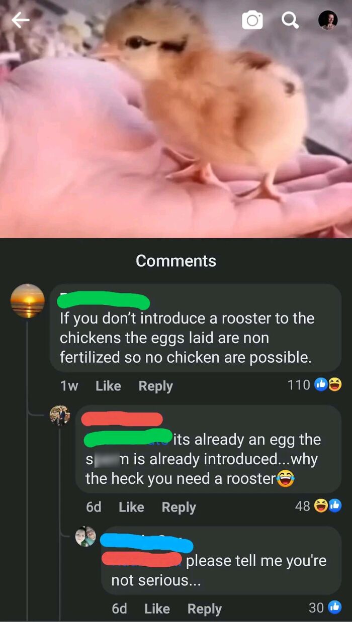 This Online Group Exists To Shame Overconfident Know-It-Alls Who Incorrectly Correct People (New Pics)