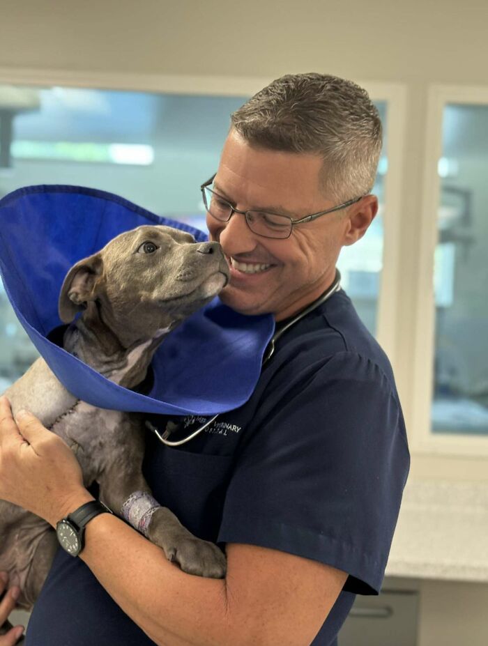 “Miracle” Puppy Surprises Everyone With Amazing Rebound After Traumatic Injury