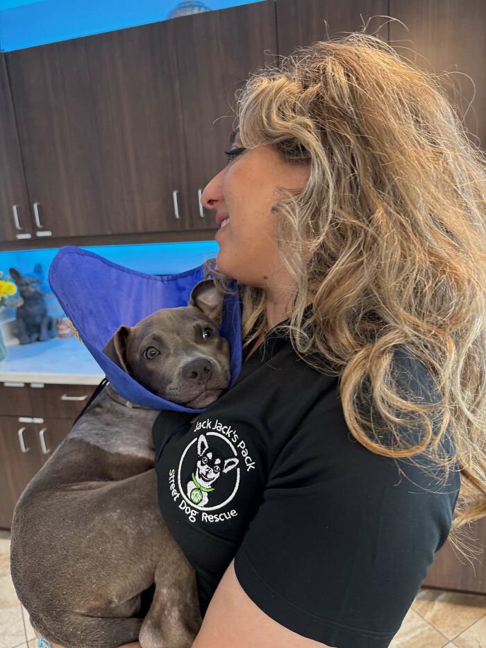 “Miracle” Puppy Surprises Everyone With Amazing Rebound After Traumatic Injury