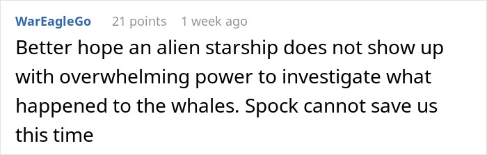 Blue Whales Have Gone Almost Silent Over The Last Decade, And The Reason Gives Scientists The Creeps