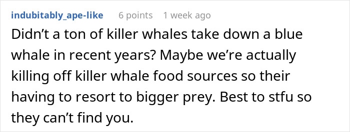 Blue Whales Have Gone Almost Silent Over The Last Decade, And The Reason Gives Scientists The Creeps