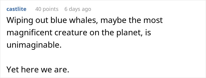 Blue Whales Have Gone Almost Silent Over The Last Decade, And The Reason Gives Scientists The Creeps